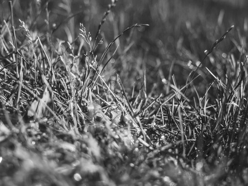 sudoku mind game screenshot 1